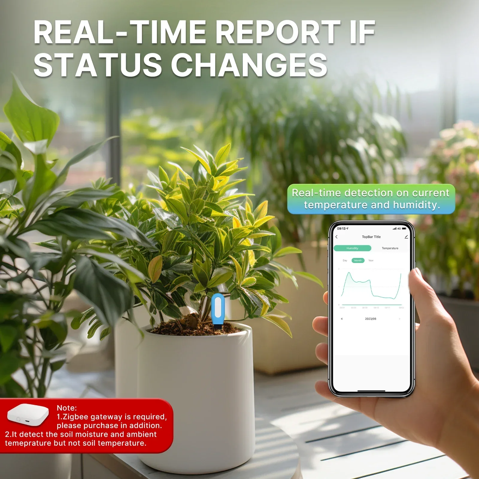 MOES-medidor inteligente ZigBe - Smart Urban Garden reseña y precio
